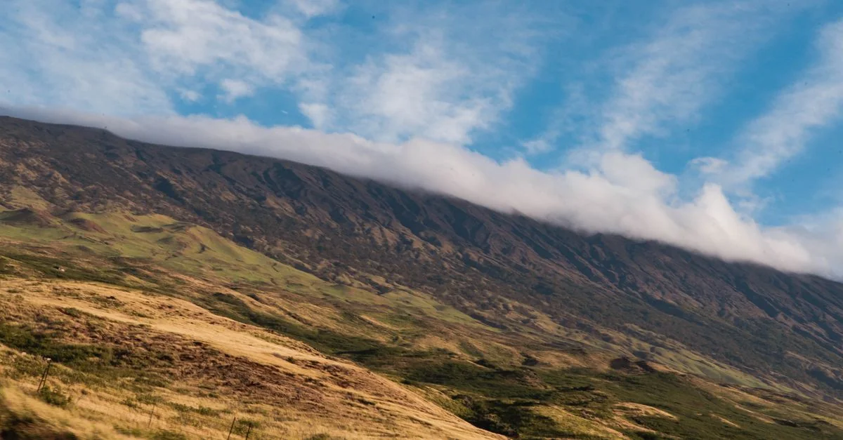 Best Cruise Tours in Maui County