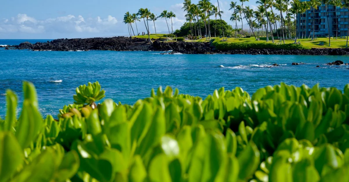 Maui County Day Trips: Navigating the Road to Hana and Beyond