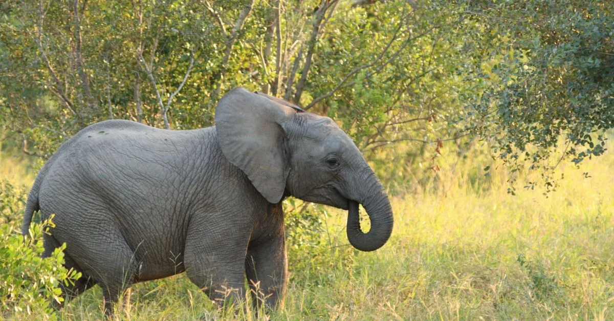 Planning Multi-Day Tours Starting from Mbombela
