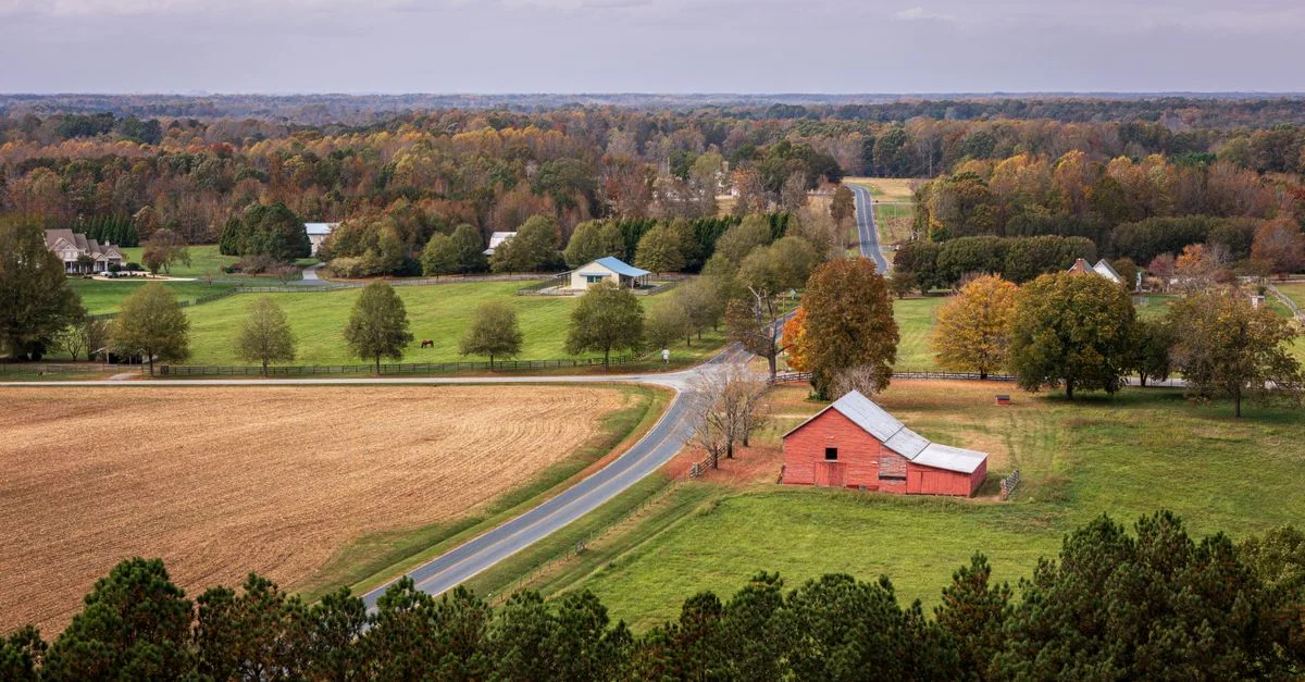 The Ultimate Mecklenburg County Food Tours Guide for Hungry Travelers