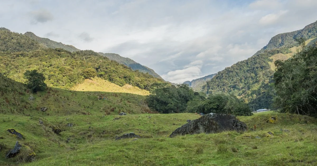 Your Ultimate Guide to Medellin Multi-Day Tours