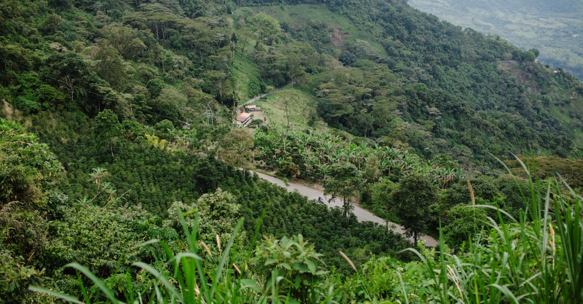 medelln-food-tours