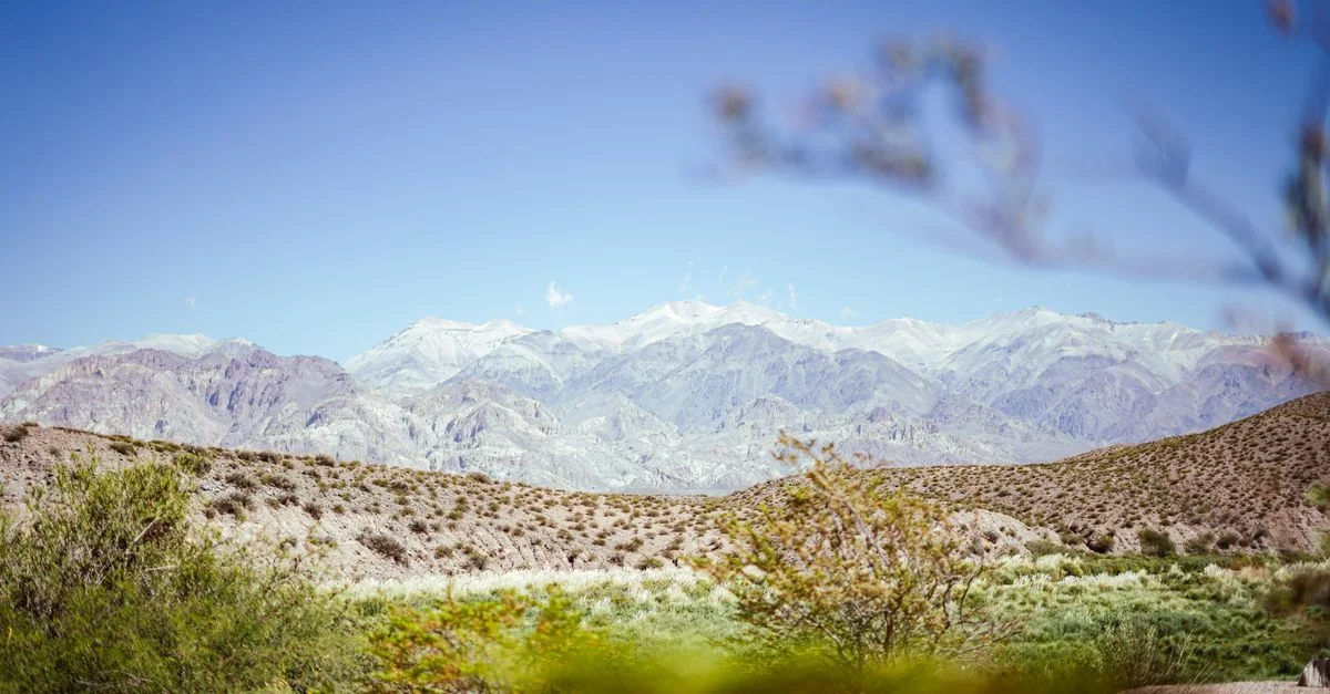Mendoza Day Trips: Vineyards, Mountain Passes and Olive Groves