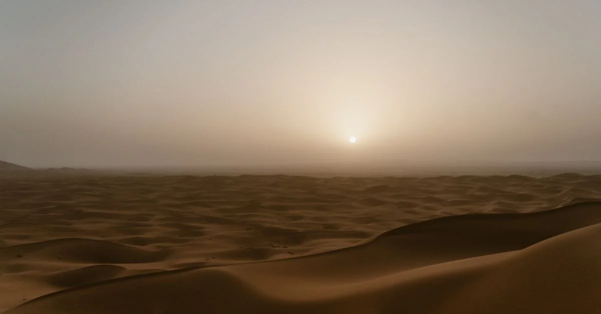 Nature and Wildlife Tours in Merzouga: Discover Morocco