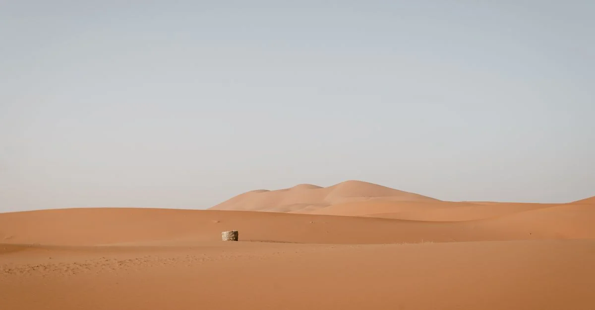 Nature and Wildlife Tours in Merzouga: Discover Morocco