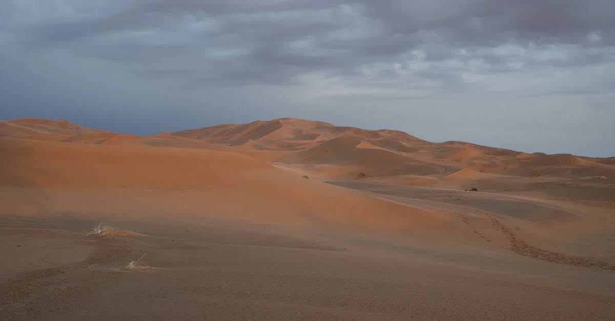 Nature and Wildlife Tours in Merzouga: Discover Morocco