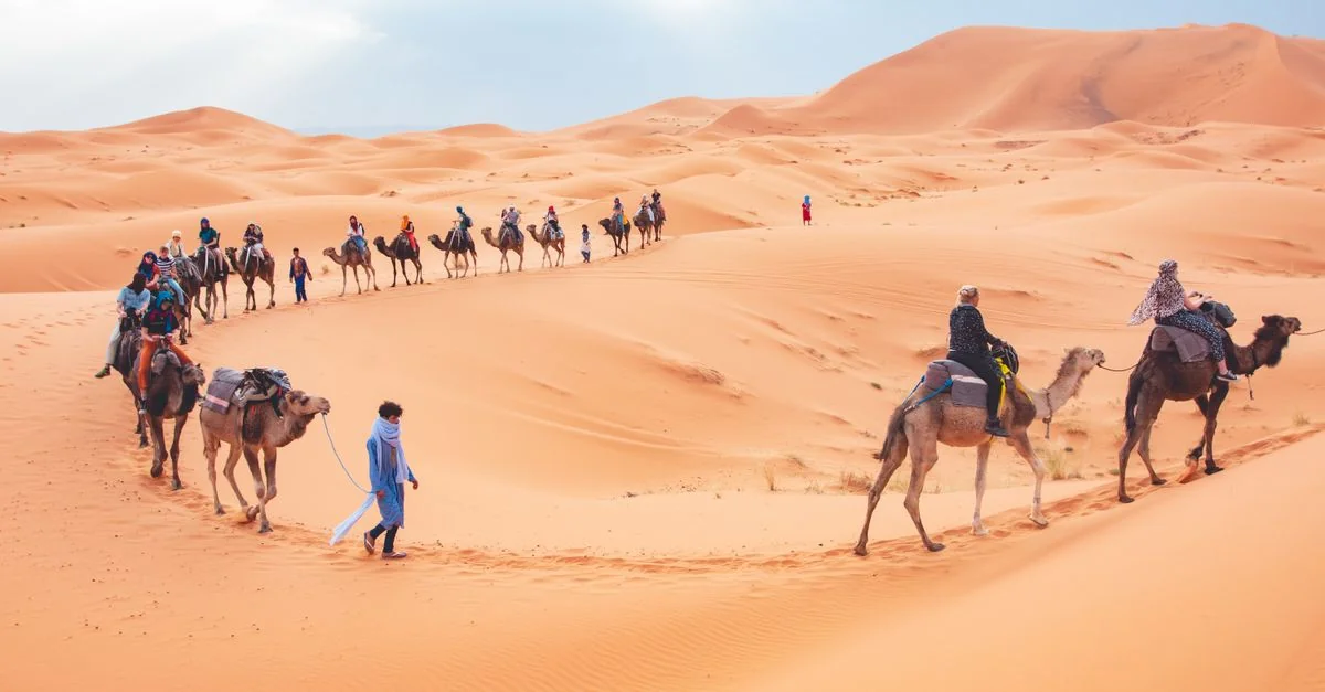 Nature and Wildlife Tours in Merzouga: Discover Morocco