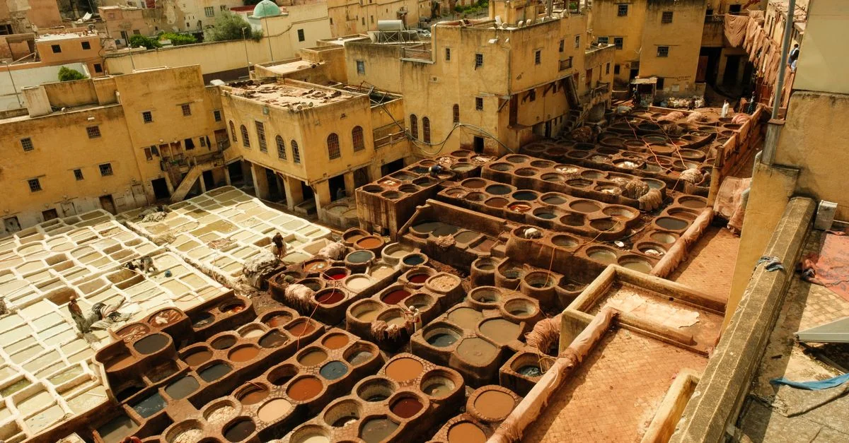 Nature and Wildlife Tours in Merzouga: Discover Morocco