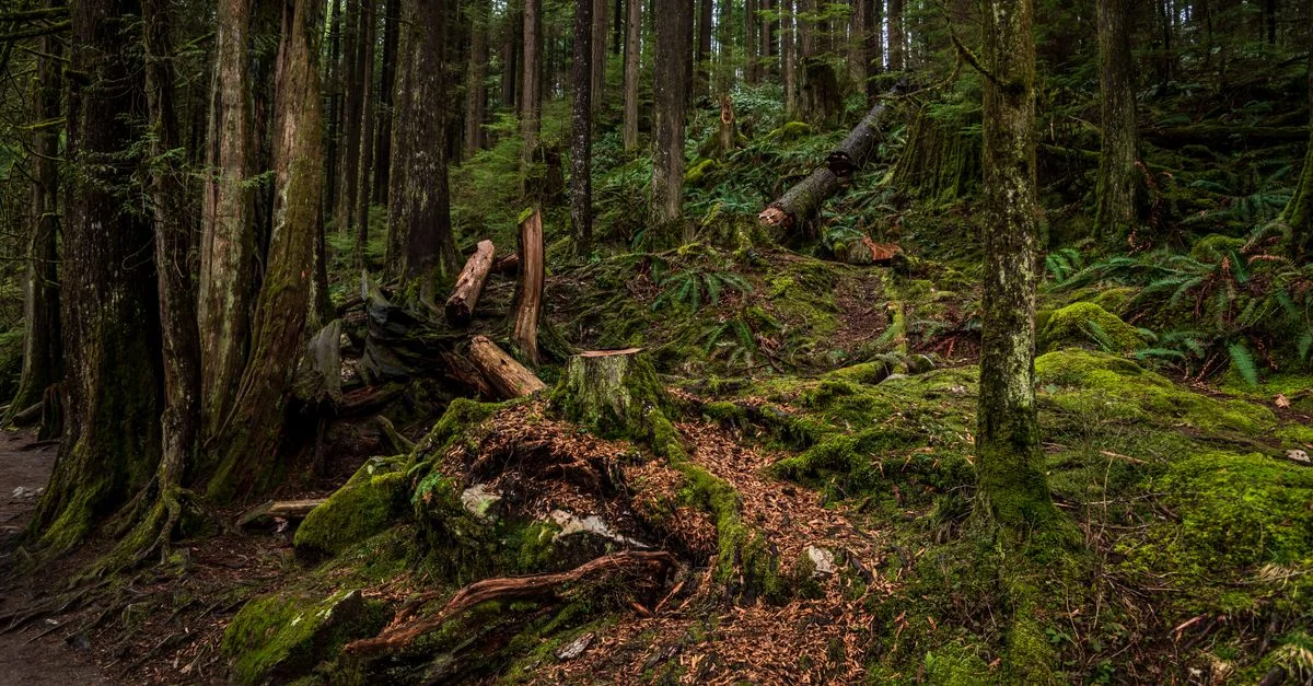 Escaping Metro Vancouver: The Best Day Trips by Budget
