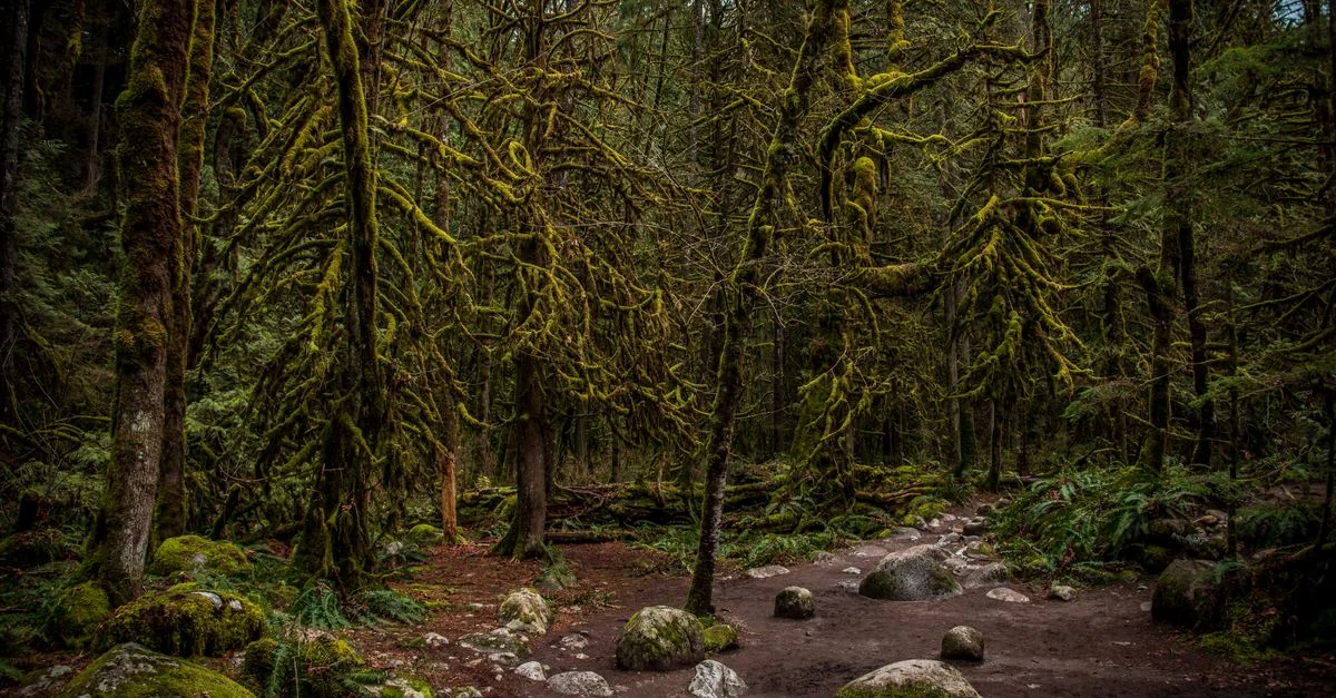 Escaping Metro Vancouver: The Best Day Trips by Budget
