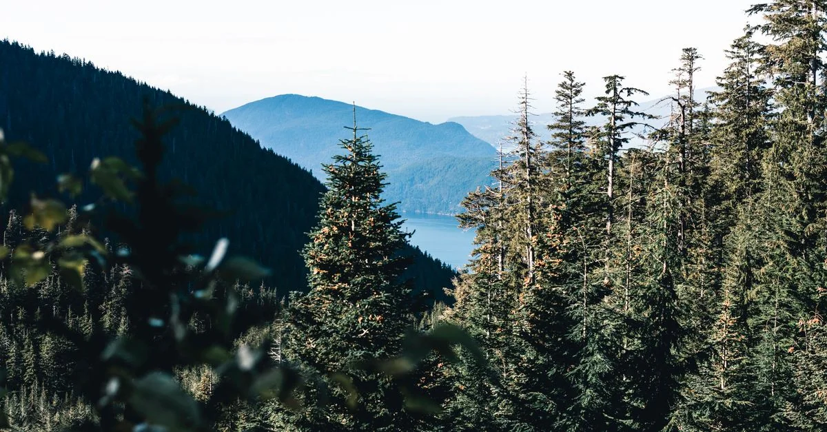 Metro Vancouver Multi-Day Tours Guide for Group Travelers
