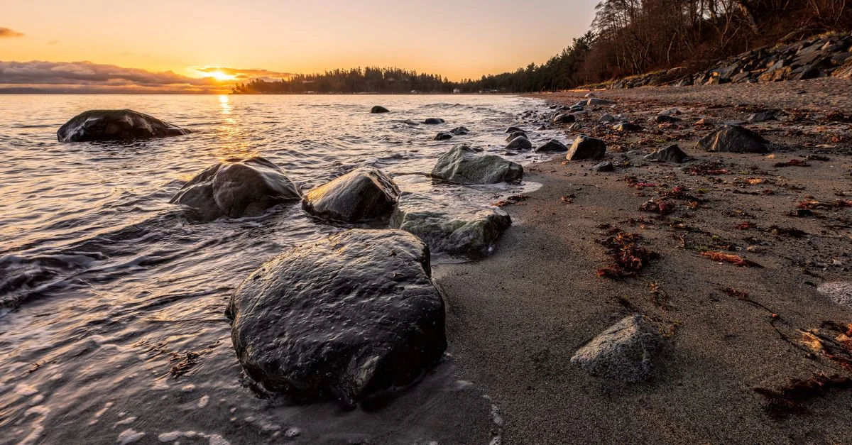 Metro Vancouver Multi-Day Tours Guide for Group Travelers