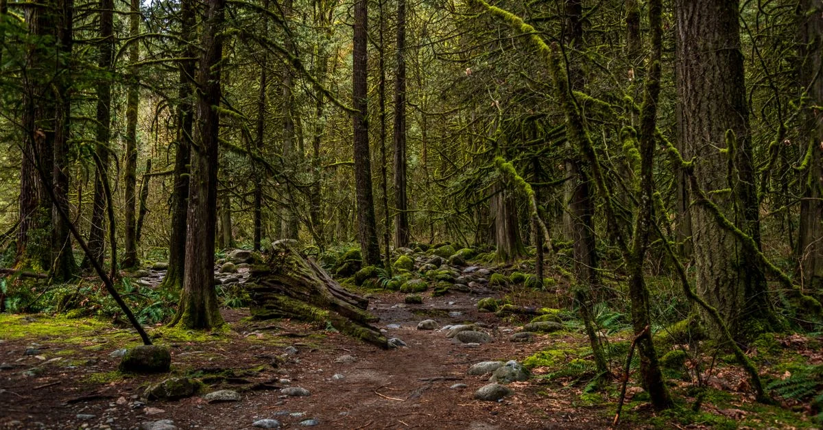 Metro Vancouver Multi-Day Tours Guide for Group Travelers