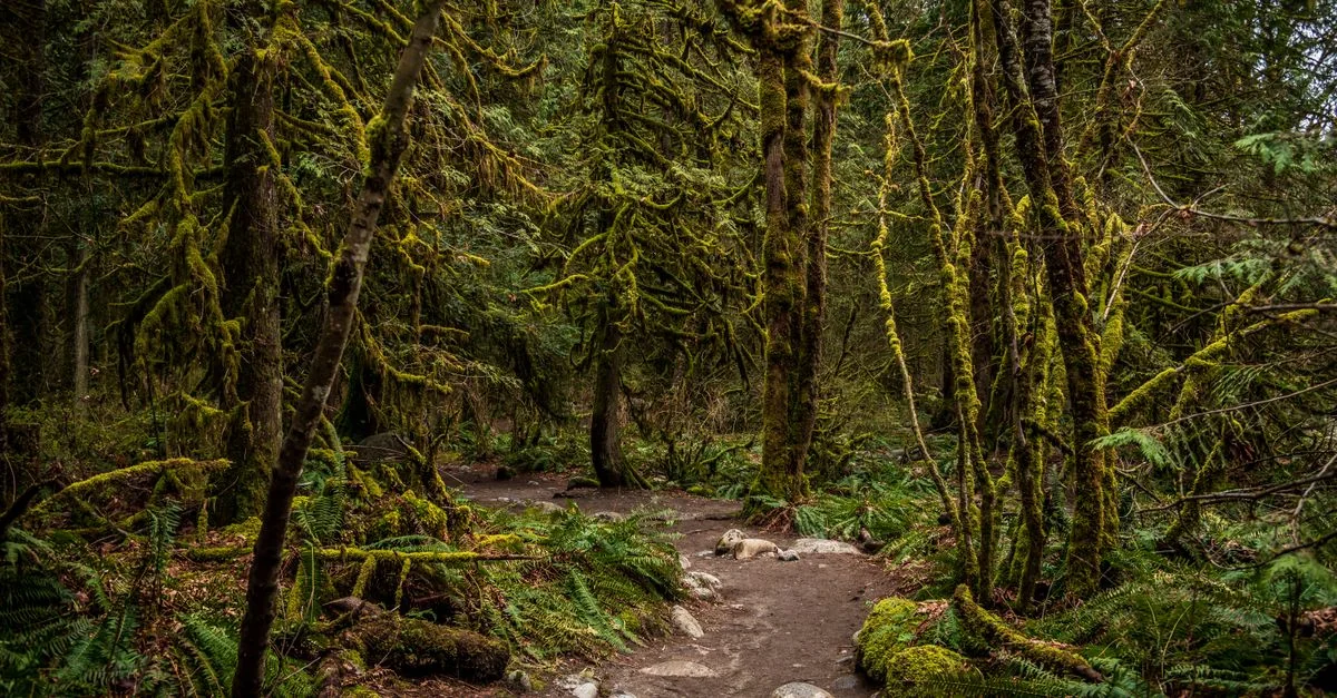 Metro Vancouver Multi-Day Tours Guide for Group Travelers