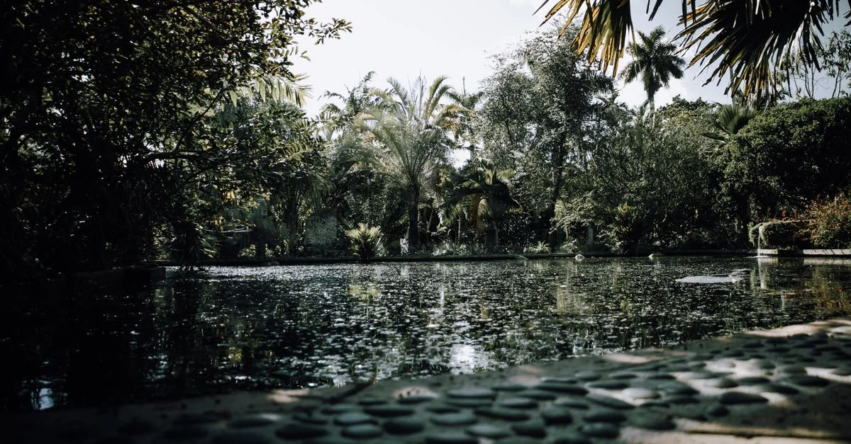 Navigating Miami: A Practical Guide to Airport and Hotel Transfers