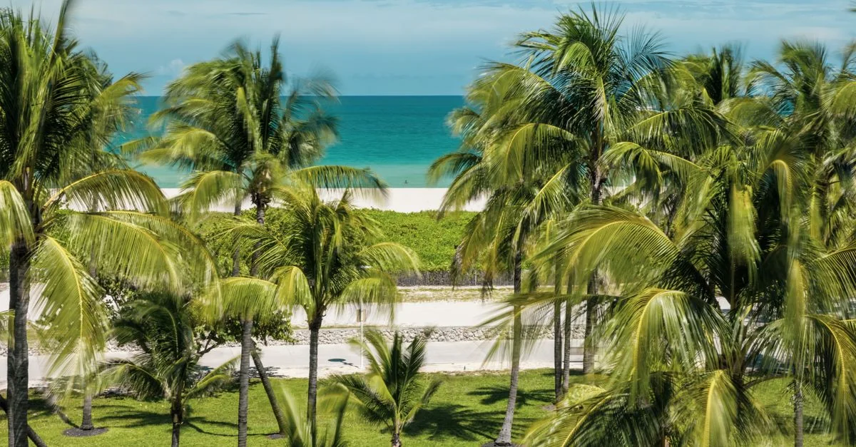 Navigating Miami: A Practical Guide to Airport and Hotel Transfers