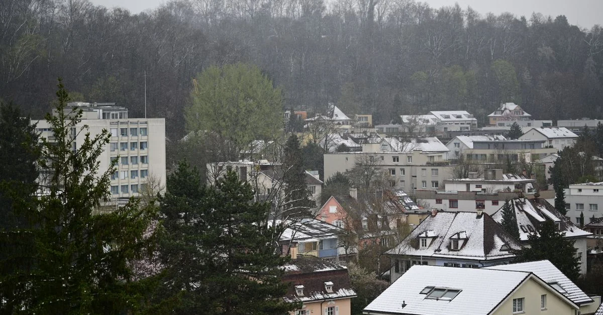 Michelin Dining in Basel: A Practical Guide for Food‑Loving Travelers