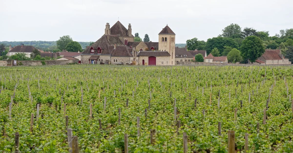 Beaune&rsquo;s Michelin Stars: A Journey Through France&rsquo;s Finest Wine Country