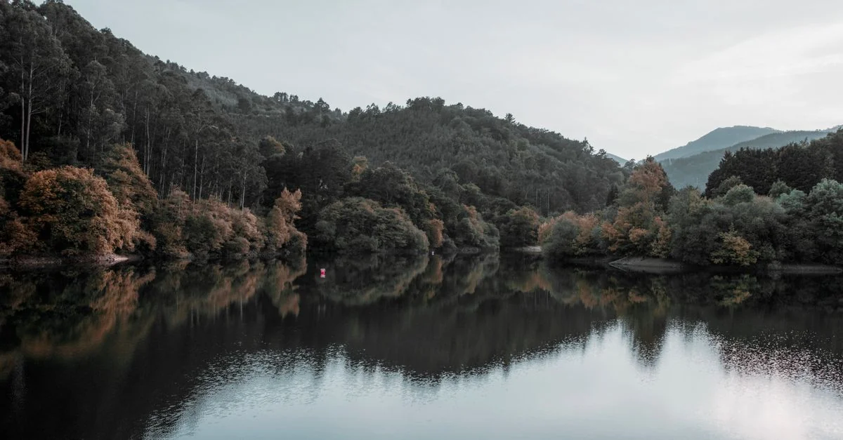 A Practical Guide to Dining Well in Bilbao