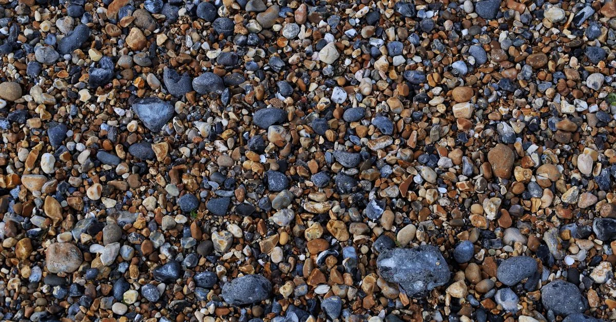 Eating Well by the Sea: A Practical Michelin Dining Guide to Brighton and Hove