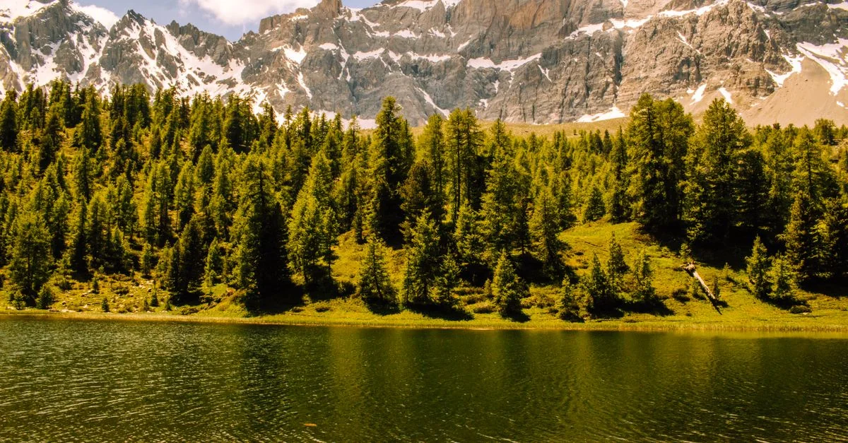 Michelin‑Level Dining in Courchevel: A Practical Guide for Food Lovers