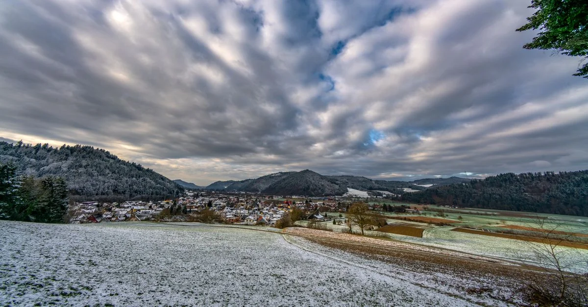 Michelin‑Level Dining in Freiburg im Breisgau: A Practical Guide
