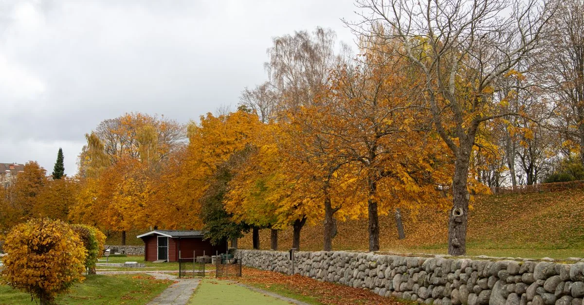 Gothenburg&rsquo;s Michelin-Starred Coast: A Practical Dining Guide