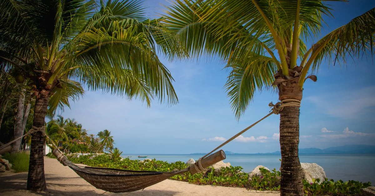 A Food Lover&rsquo;s Guide to Ko Samui: Where Michelin Meets Tropical Paradise