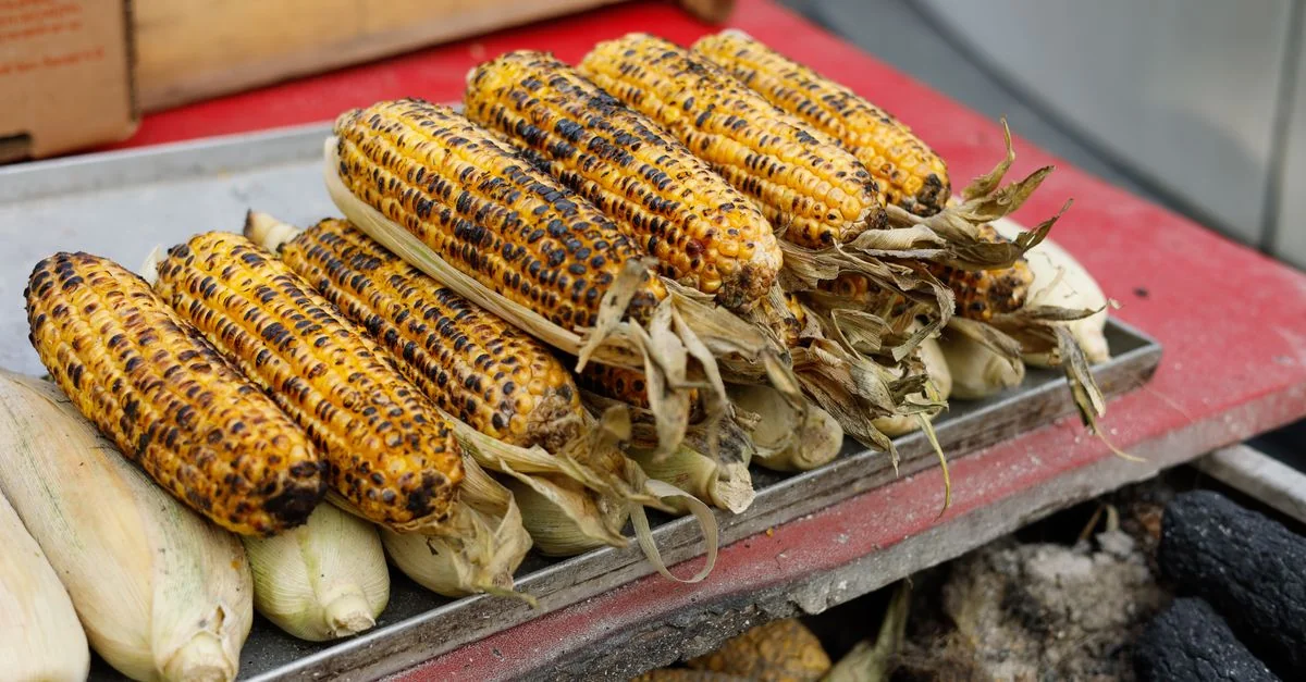 Tasting the Polish South: A Traveler’s Guide to Michelin Dining in Kraków