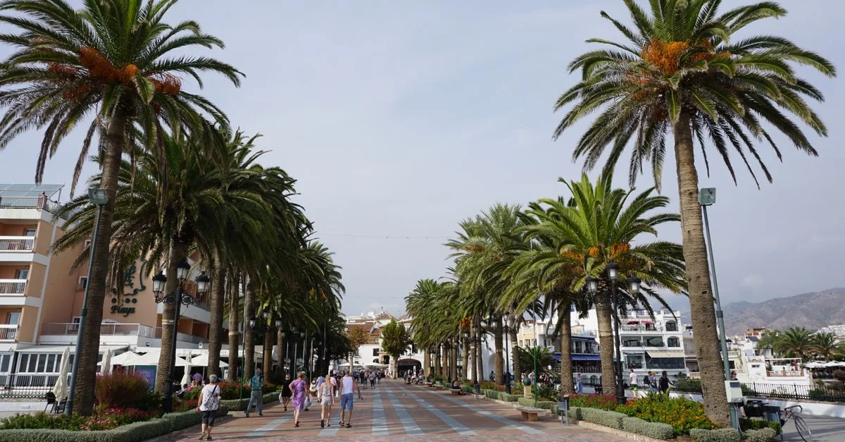 Marbella&rsquo;s Michelin Stars: A Culinary Adventure
