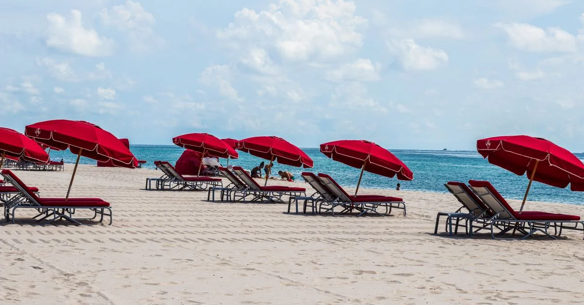 Unforgettable Dining in Miami Beach: A Michelin Guide for Foodies