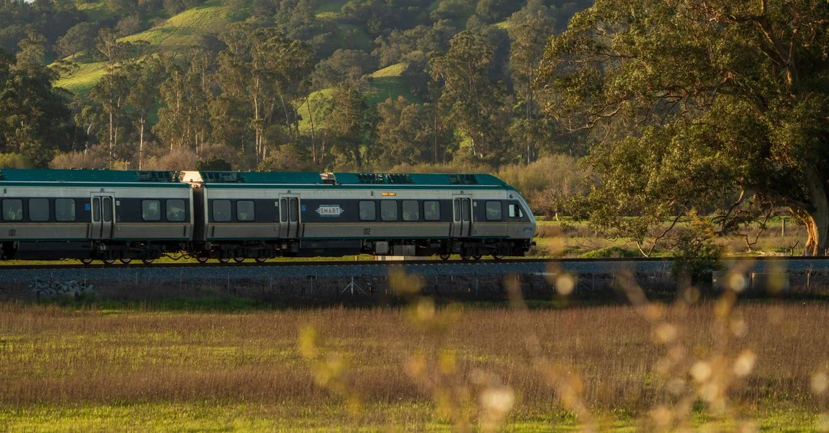 Navigating Oakland’s Michelin-Recognized Table: A Traveler’s Guide
