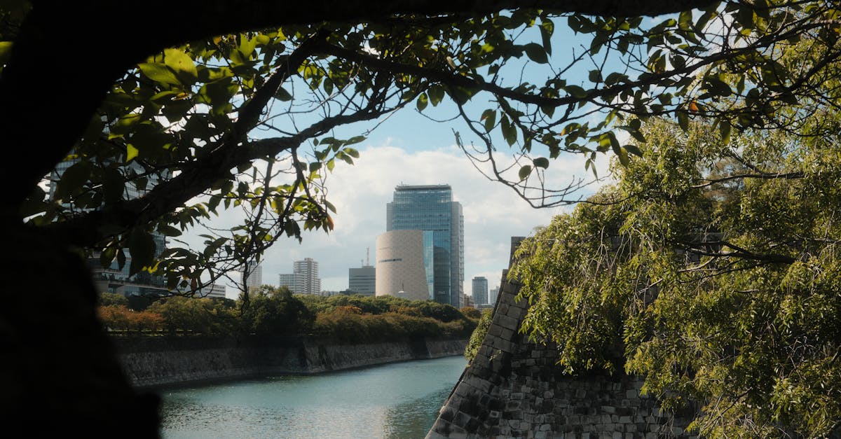 michelin-osaka-japan