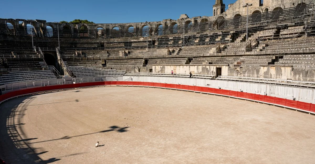Exploring Arles Through Its Michelin Guide Recommendations
