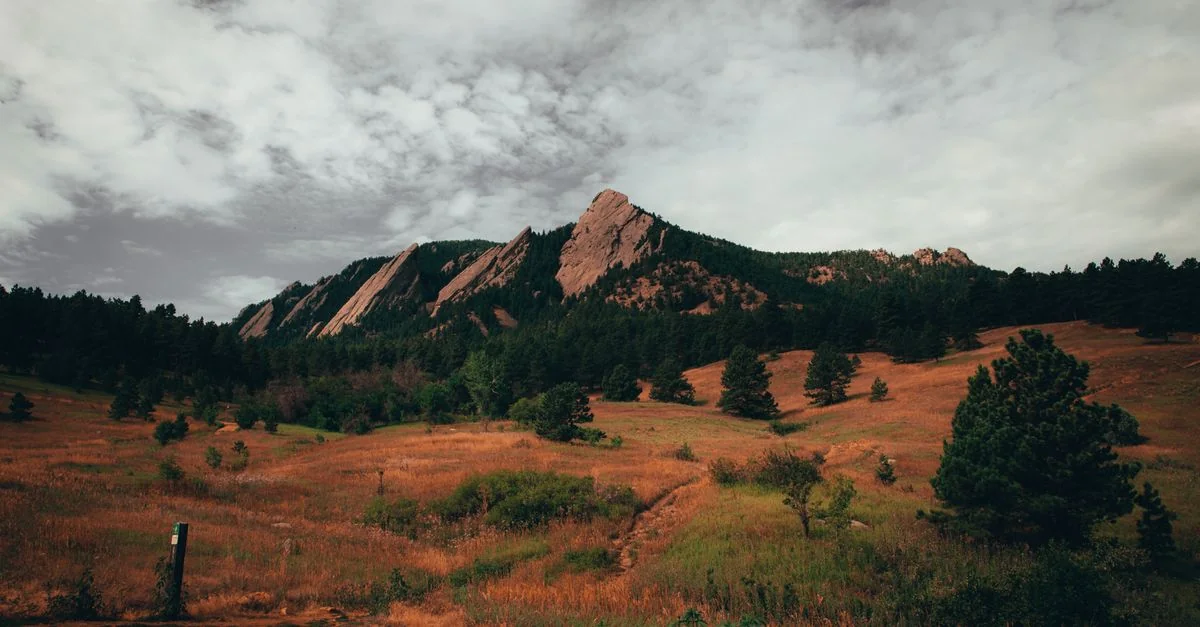 Boulder Michelin Restaurant Guide