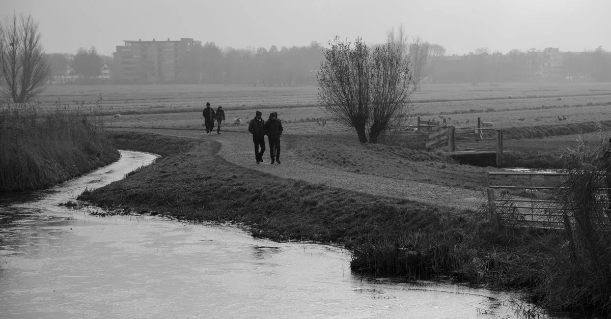 A Michelin Guide to Dining in Breda