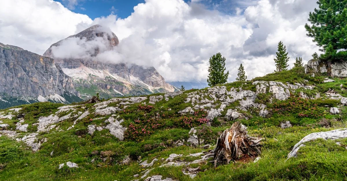 Cortina d’Ampezzo Michelin Guide: 7 Restaurants with 1 Star and 5 Selected Awards