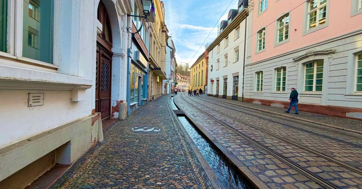 Freiburg im Breisgau Michelin Restaurant Guide