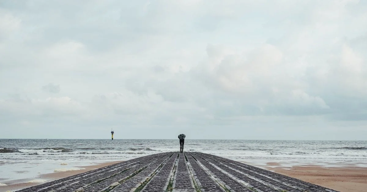 Knokke Michelin Restaurant Guide