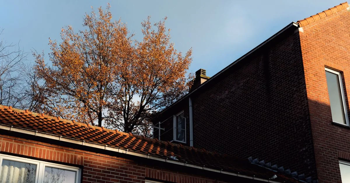 A Guide to Michelin Dining in Leuven
