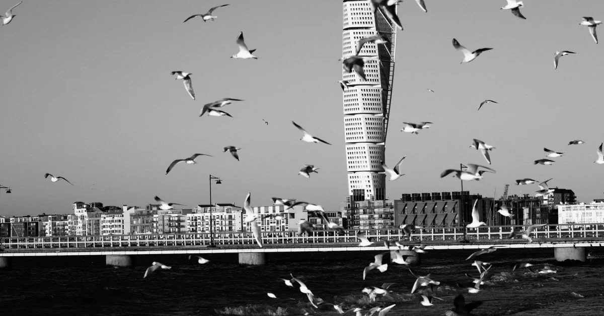 Discovering Malmo: A Michelin Guide to the City&rsquo;s Premier Restaurants