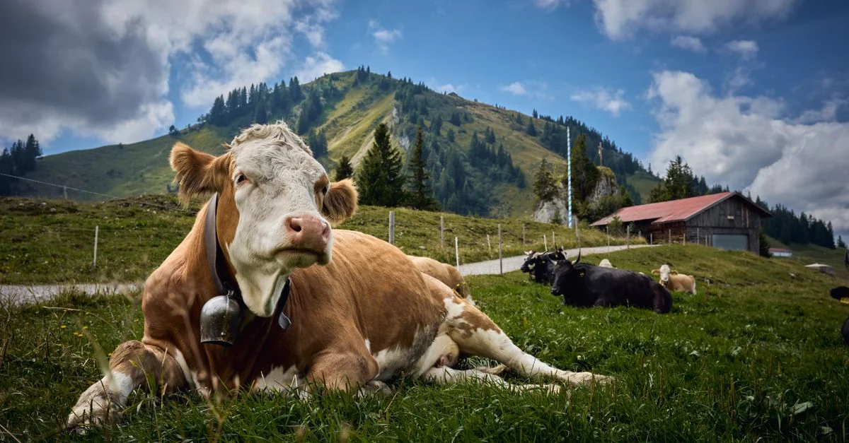 Michelin Restaurant Guide for Rottach‑Egern, Germany