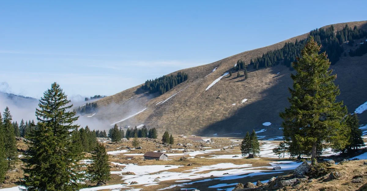 Discovering Sankt Gallen: A Michelin Restaurant Guide