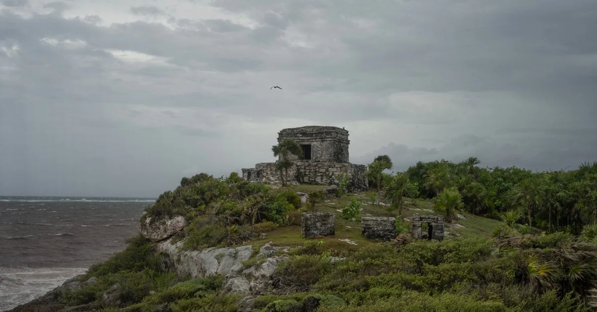 Tulum Michelin Guide: A Curated Dining Experience in the Riviera Maya