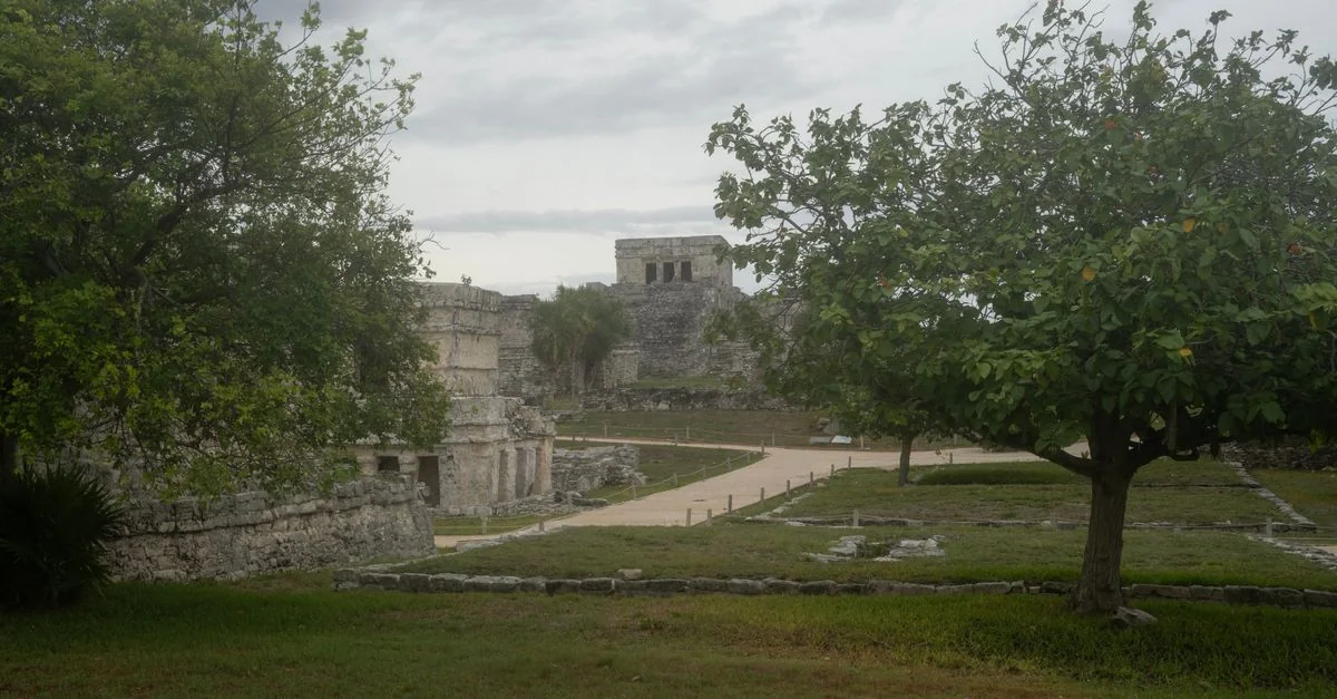 Tulum Michelin Guide: A Curated Dining Experience in the Riviera Maya