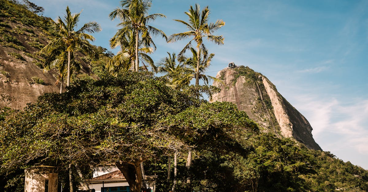 michelin-rio-de-janeiro-brazil