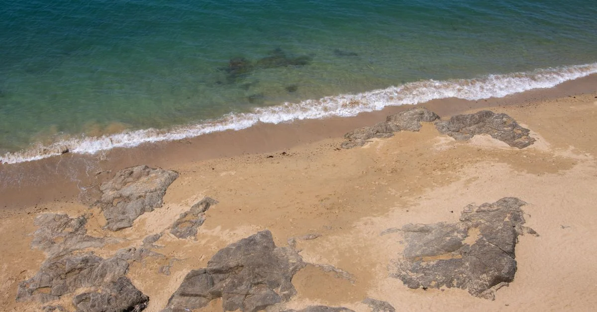 Dining in Saint-Malo: A Michelin Guide to Brittany’s Coastal Gem
