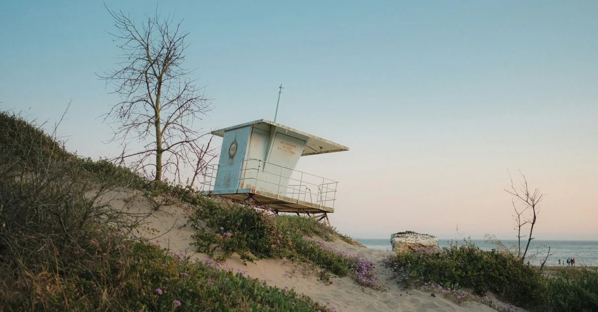 Santa Barbara&rsquo;s Michelin Stars: A Food Lover&rsquo;s Guide to the Coast
