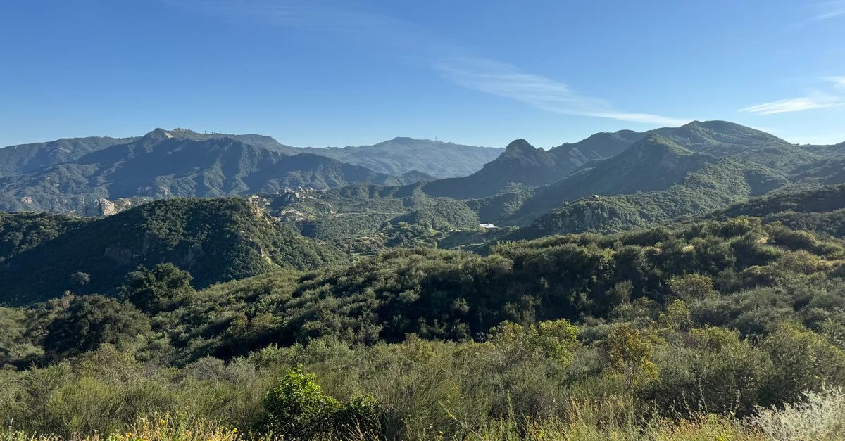 Santa Barbara&rsquo;s Michelin Stars: A Food Lover&rsquo;s Guide to the Coast