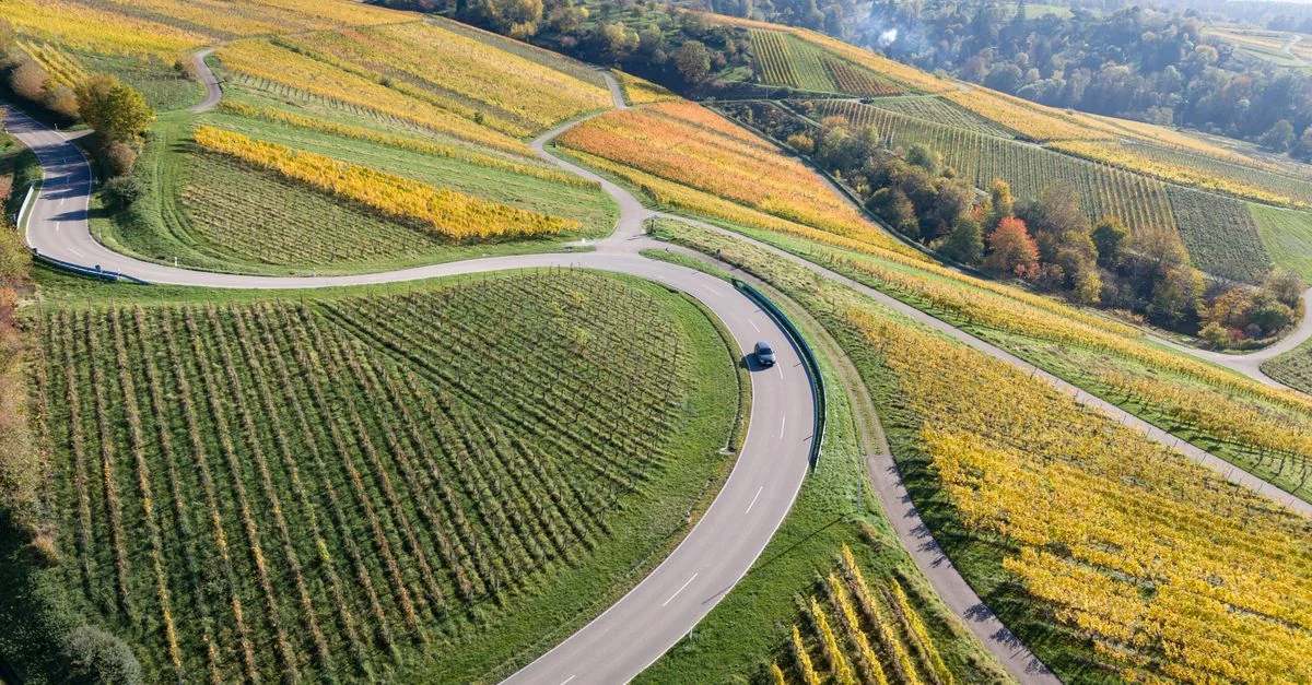 Navigating Stuttgart: A Michelin-Star Dining Guide for Serious Eaters